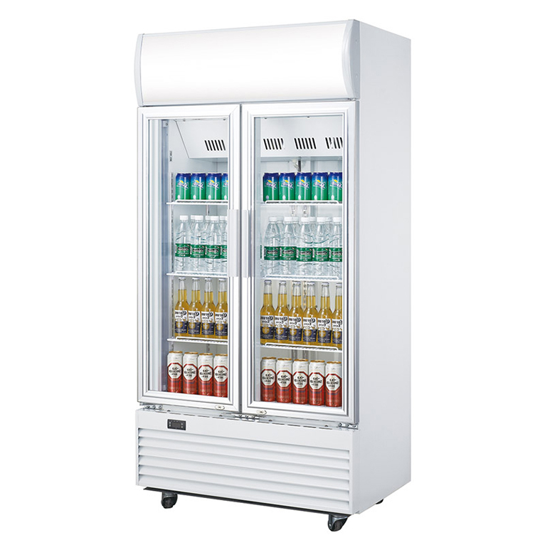 double glass door cooler